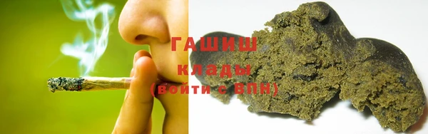 трава Белокуриха