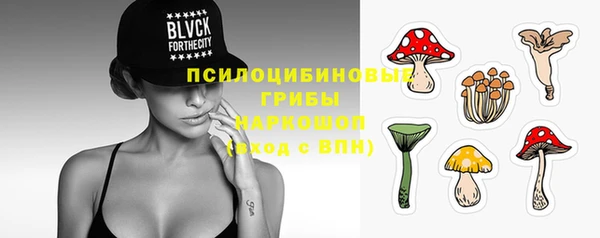 каннабис Баксан
