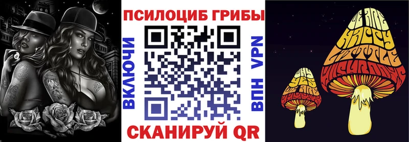 Галлюциногенные грибы MAGIC MUSHROOMS  Козьмодемьянск 